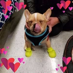 Meet your Posher, Sandra